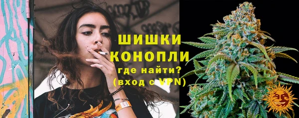 прущий лед Новозыбков
