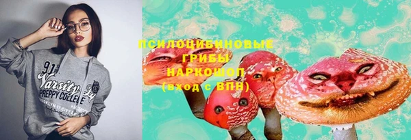 первитин Арсеньев